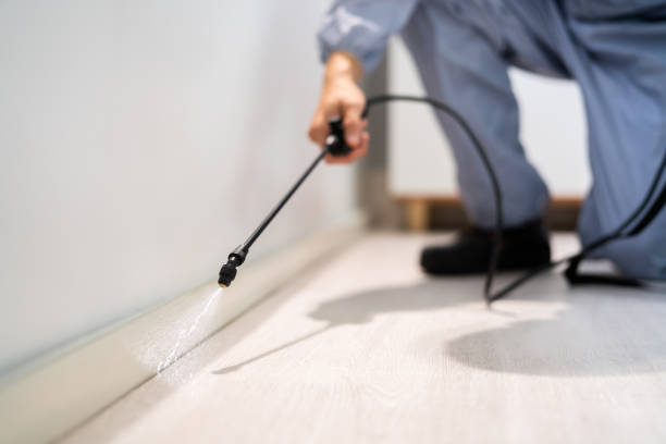 Licensed Mosquito Control service in Lapeer, MI - Show Me Pest Control