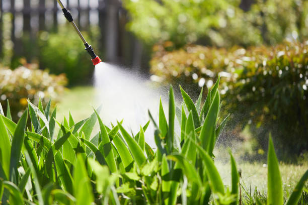 24/7 Emergency Mosquito Control experts in Lapeer, MI