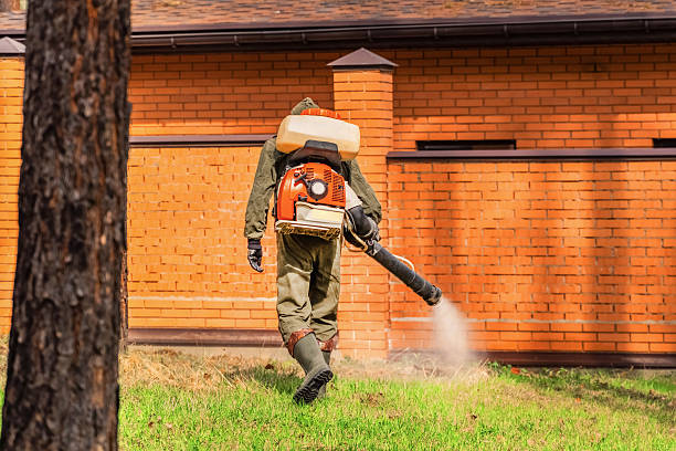 Top rated local Mosquito Control specialists in Lapeer, MI